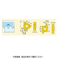 セコ・ツールズ・ジャパン 旋削 ねじ切り用チップ 22NRN55:CP500 22NRN55CP500 1セット(2個)（直送品）