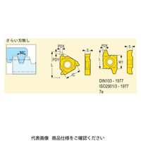 セコ・ツールズ・ジャパン 旋削 ねじ切り用チップ 26ER12.0TR:CP300 26ER12.0TRCP300 1セット(2個)（直送品）