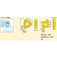 セコ・ツールズ・ジャパン 旋削 ねじ切り用チップ 26NR10.0TR:CP500 26NR10.0TRCP500 1セット(2個)（直送品）