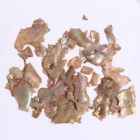 SHAREYDVA シェルシート 2g ブラウン 89791 1個（直送品）