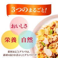 ケロッグ 素材まるごとグラノラ パリッとアーモンド やさしいはちみつ味 400g 6袋 日本ケロッグ グラノーラ