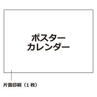 エトランジェ・ディ・コスタリカ 【2023版】B3 ポスターカレンダー CLP-B3-01 1セット（3冊）（直送品）