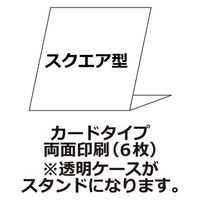 エトランジェ・ディ・コスタリカ 【2023版】CD 卓上カレンダー CLS-CD-02 1セット(3冊)（直送品）