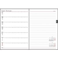 ダイゴー 【2023年版】アポイント 手帳サイズ 1週間+横罫 月曜始まり ブラック E8432 1冊（直送品）