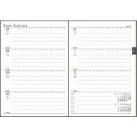 ダイゴー 【2023年版】アポイント 手帳サイズ 1週間 月曜始まり ブラック E8439 1冊（直送品）