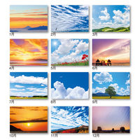 【2023年版】壁掛カレンダー SORA 空 A/2切 NK8134 1冊 新日本カレンダー（直送品）