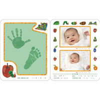 パイロット おたんじょうきろく はらぺこあおむし 1801076 1個