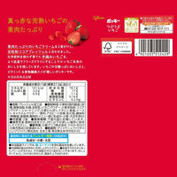 チョコレート つぶつぶいちごポッキー 1セット（1個×12）