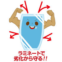 アスカ ラミネートフィルム ラミネーター専用フィルム 65×95mm 定期券サイズ用 100μm BH-204 1箱（120枚）