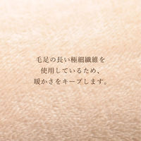 10枚 お手手ぽかぽか チョコレート ブラウン 手 冷え性 クッション おしゃれ かわいい 冬 暖かい 節電対策 便利 アウトドア（直送品）