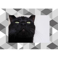 マッチングジャパン ウォールステッカー 写真立て フォトフレーム シール「トライアングル/グレー」1セット CO-10039-AS 1枚（直送品）