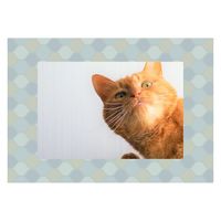 マッチングジャパン ウォールステッカー 写真立て フォトフレーム シール「タートル/ペールグリーン」1セット CO-10062-AS 1枚（直送品）