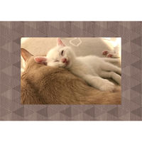 マッチングジャパン ウォールステッカー 写真立て フォトフレーム シール「ミツウロコ/ブラウン」１セット(２枚本) CO-10073-AS2（直送品）