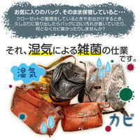 コモライフ かばんの除湿・脱臭パック(10包入) 391499 1セット(10包入)（直送品）