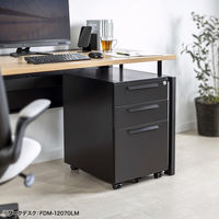 サンワサプライ キャビネット 幅390×奥行534×高さ600mm ホワイト SNW-106BK 1台（直送品）