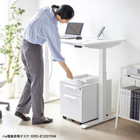 サンワサプライ キャビネット 幅390×奥行534×高さ478mm ホワイト SNW-105W 1台（直送品）