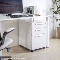 サンワサプライ キャビネット 幅390×奥行534×高さ600mm ホワイト SNW-106W 1台（直送品）