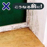 窓まわり・カーテン用カビ止め 250mL 1個 防カビ 日本ミラコン産業