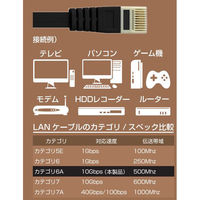 磁気研究所 CAT6A フラットLANケーブル 2m ツメ折れ防止構造のプラグを採用 HDLANF020CAT6A 1個
