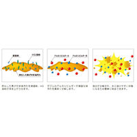 大一産業 グリ取る名人 20kg 84800136 1本（直送品）