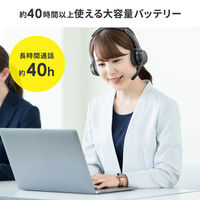 サンワサプライ Bluetoothヘッドセット(両耳タイプ・単一指向性) MM-BTSH62BK 1個（直送品）