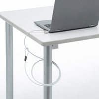 サンワサプライ nanoスロット対応セキュリティワイヤー・シリンダ錠(鍵No.1) SLE-38S-1 1個（直送品）