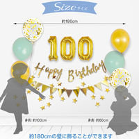 ハンズプロ　100日バースデー　バルーンデコキット　シルバーコンフェッティ　1セット（直送品）