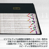 ライオン事務器 ビジブルブック 一覧式帳簿 8×6カード用 No.286 16232 1冊