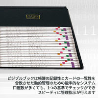 ライオン事務器 ビジブルブック 一覧式帳簿 8×6カード用 No.186 16234 1冊