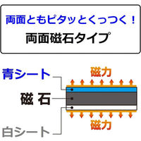 ライオン事務器 ツヤなし 両面 マグネットシート W100×H300×厚さ1.0mm 青/白 S-103W 28341 1セット(3枚)（直送品）