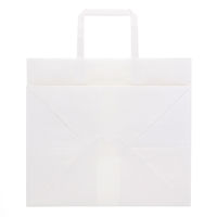 【紙袋】 Nフラットチャームバッグ 平手 300-1 白無地 003277131 1袋（50枚入）シモジマ