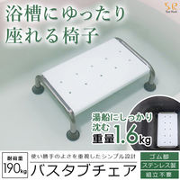 イー・エム・エー バスタブチェア SR-SBC503 1個