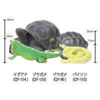 紅石 ゾウガメ（大）ＱＹー１５５　1個（直送品）