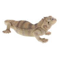 紅石 フトアゴヒゲトカゲ　ＱＹー１５９　1個（直送品）