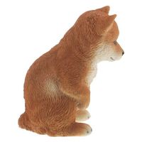 紅石 おじぎシバ　ＱＹー１６７　1個（直送品）