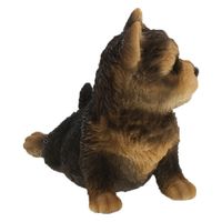 紅石 きゅうけいヨークシャー　ＱＹー１９７　1個（直送品）