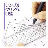 ライオン事務器 ハイカットスケール 定規 45cm HC-45 27172 1本