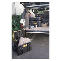 DEWALT DWST83294-1 Tough DS300 1個（直送品）