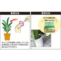 サンアンドホープ 活力液 33ml×10 4543693007889 1個（わけあり品）