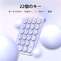 テンキー Bluetooth パンダグラフ 薄型 充電式 Tabキー付 耐久性 IC-KP08-PU パープル iClever