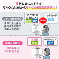 サンワサプライ マイク無しWEBカメラ CMS-V67BK 1個（直送品）