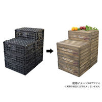 パックスタイル POP用品 ウッド調YパネルL-BR EP42A-B用 1枚 623040（直送品）