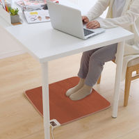 アイリスオーヤマ ホットマット HCM-60S-T(568726) 1枚