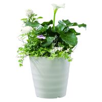 大和プラスチック フレグラーポット 21型 アイボリー 4903266722562 1個（直送品）