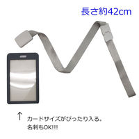 アイ・エス ICカードケース(名刺対応可) ハードケース タテ型 黒 2個 INM-07 1セット(2枚)