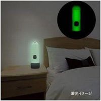 手回し充電式 暗闇でも見つけやすいLEDライト BL103LPDBK ヤザワコーポレーション（直送品）