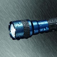 LEDアルミフラッシュライト 30lm L6A304GB ヤザワコーポレーション（直送品）