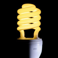 オーム電機 エコなボール 電球形蛍光灯 E26 スパイラル形 60W相当 電球 EFD15EL/12NX2P 1個