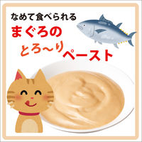 健康缶 シニア猫用 毛玉ケア 40g 48袋 アイシア キャットフード パウチ