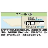 サカエ 軽量作業台(KSタイプ/均等耐荷重200kg/スチール天板/H740mm/移動式) KSー157SRI 1個（直送品）